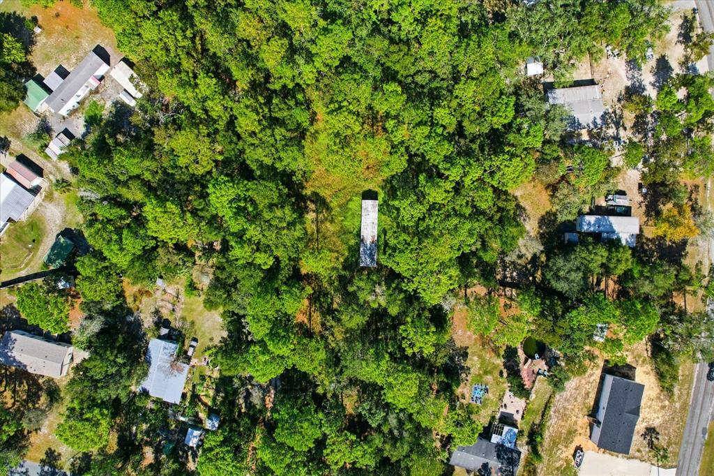 An aerial view shows a rectangular structure nestled within a dense, wooded residential lot — 3351 S JUNKET DRIVE, HOMOSASSA, FL