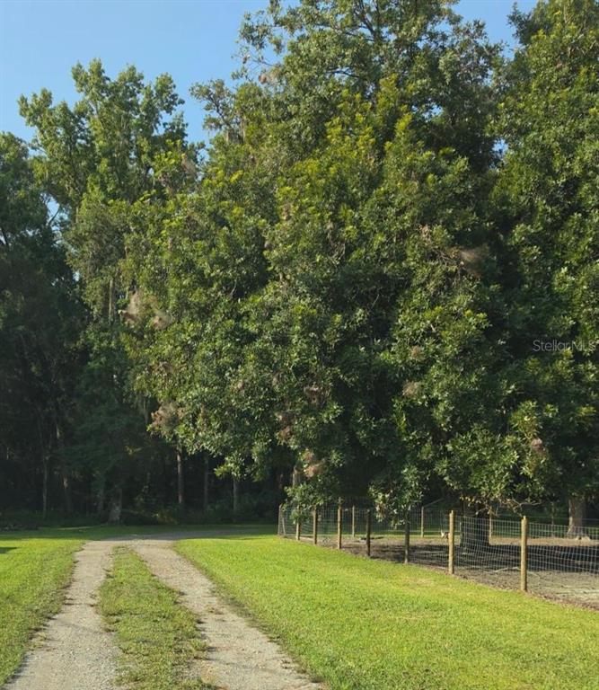 A gravel driveway leads toward a large tree with webbed nests beside a wire fence — 3415 CR 679, WEBSTER, FL