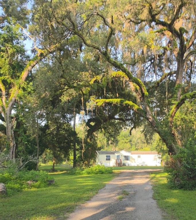 A light-colored mobile home sits at the end of a dirt driveway under large trees — 3415 CR 679, WEBSTER, FL