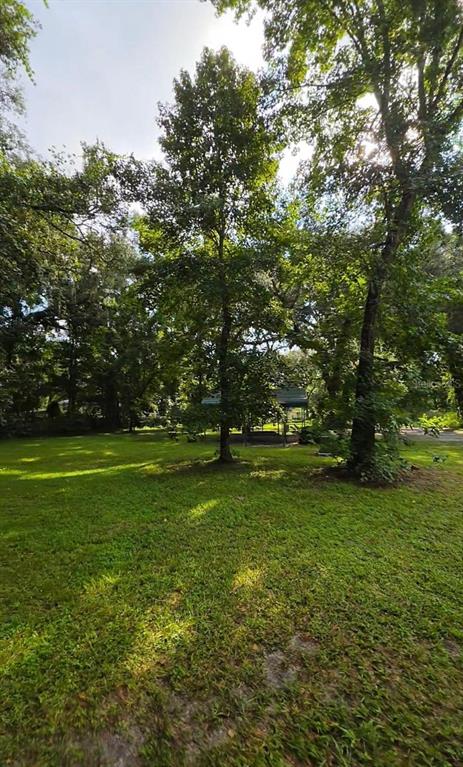 A grassy backyard features several tall trees and a small gazebo in the distance — 3415 CR 679, WEBSTER, FL
