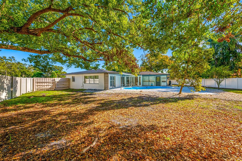A backyard with a swimming pool, a white house, and a large tree with leaves — 1932 ORO COURT, CLEARWATER, FL