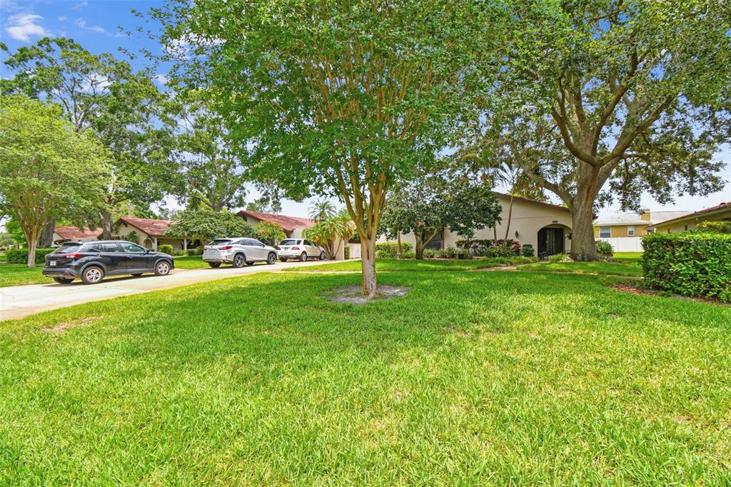 A single-story house with a driveway and parked cars sits behind a large grassy lawn — 3476 TARPON WOODS BOULEVARD, PALM HARBOR, FL