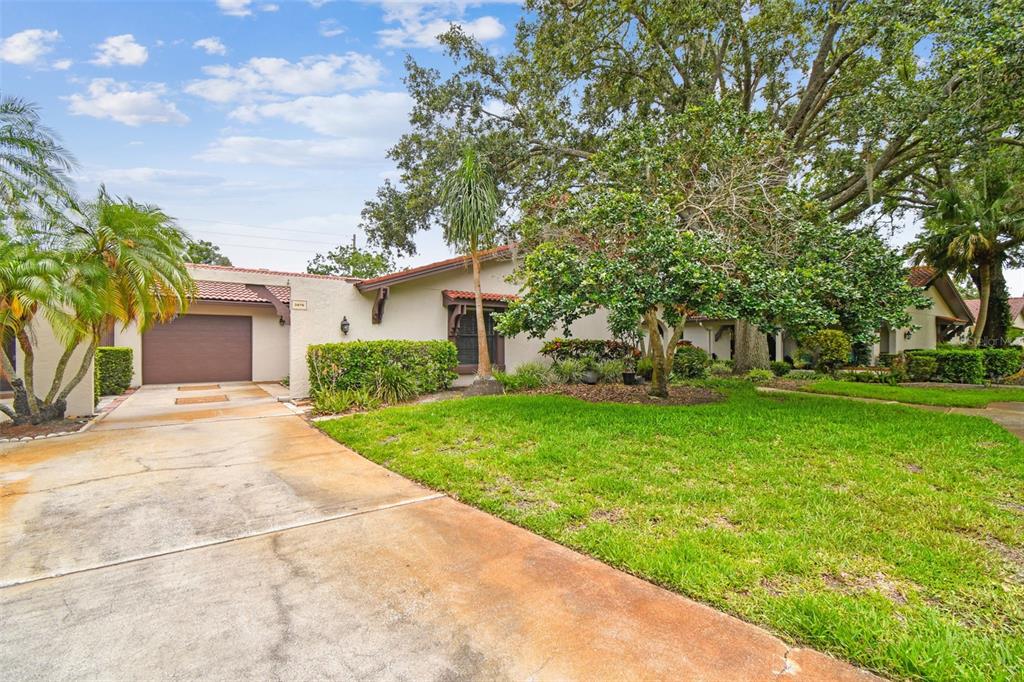 A single-story house with a brown garage door, a concrete driveway, and large shade trees — 3476 TARPON WOODS BOULEVARD, PALM HARBOR, FL