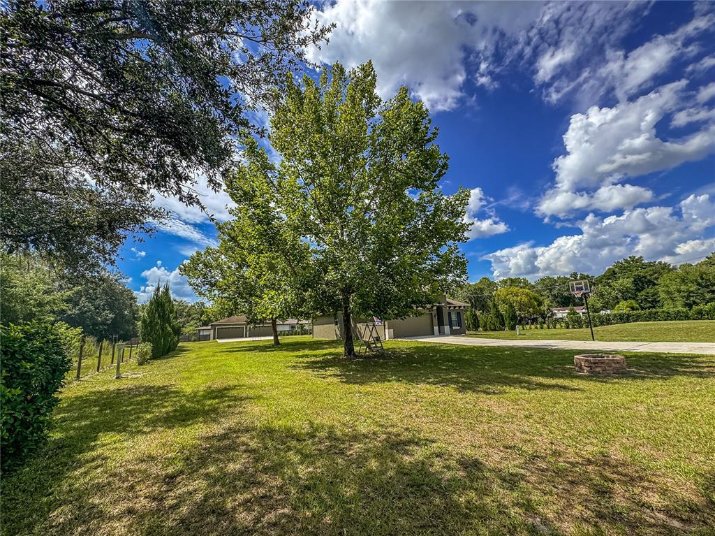 A large tree stands in a grassy yard in front of a suburban house — 5533 TOWER ROAD, LAND O LAKES, FL