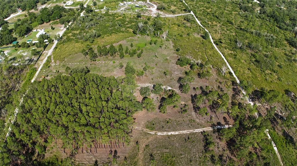 An aerial view shows a large, partially wooded plot of land with dirt access paths — XX SW 156TH PLACE, DUNNELLON, FL