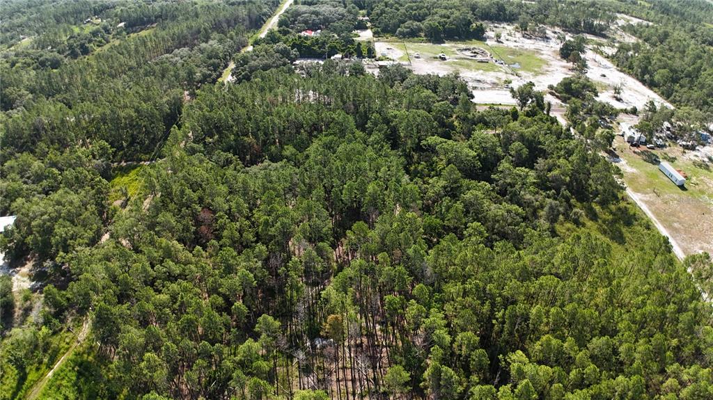 An aerial view shows a dense forest of pine trees adjacent to a cleared lot — XX SW 156TH PLACE, DUNNELLON, FL
