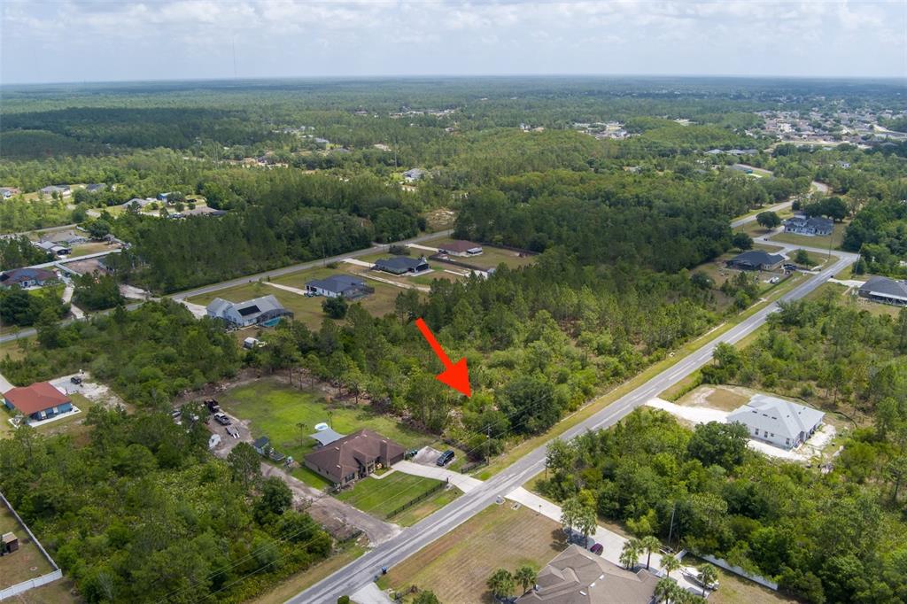 An aerial view shows a vacant, wooded residential lot marked by a red arrow — NETTLETON STREET, ORLANDO, FL