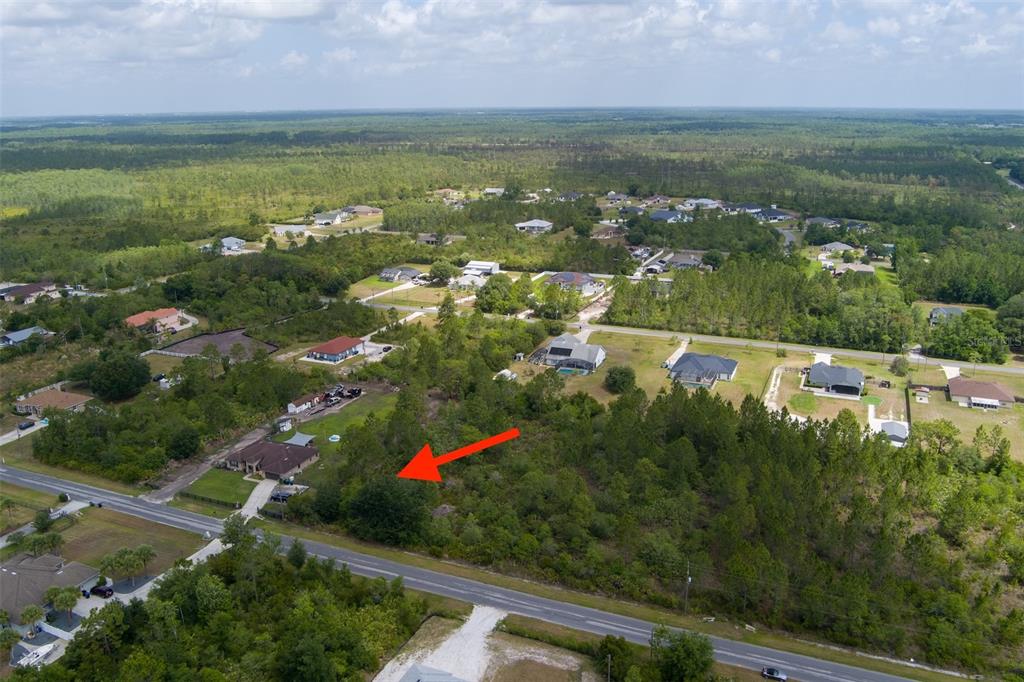An aerial view shows a vacant, wooded residential lot marked by a red arrow — NETTLETON STREET, ORLANDO, FL