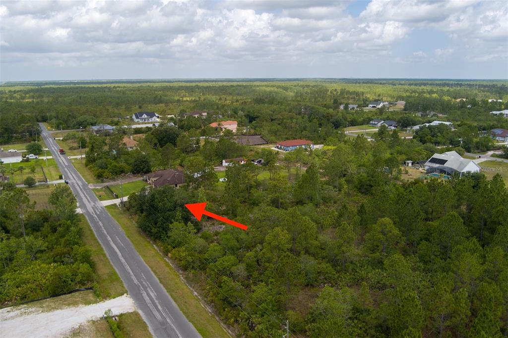 An aerial view shows a wooded residential lot with a red arrow pointing toward it — NETTLETON STREET, ORLANDO, FL