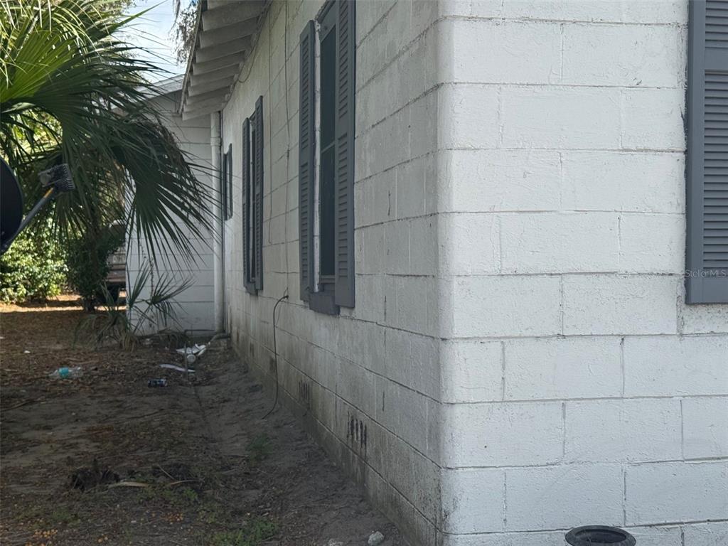 A side view of a white concrete block house with dark shutters and a palm tree — 11751 N WILLIAMS STREET, DUNNELLON, FL