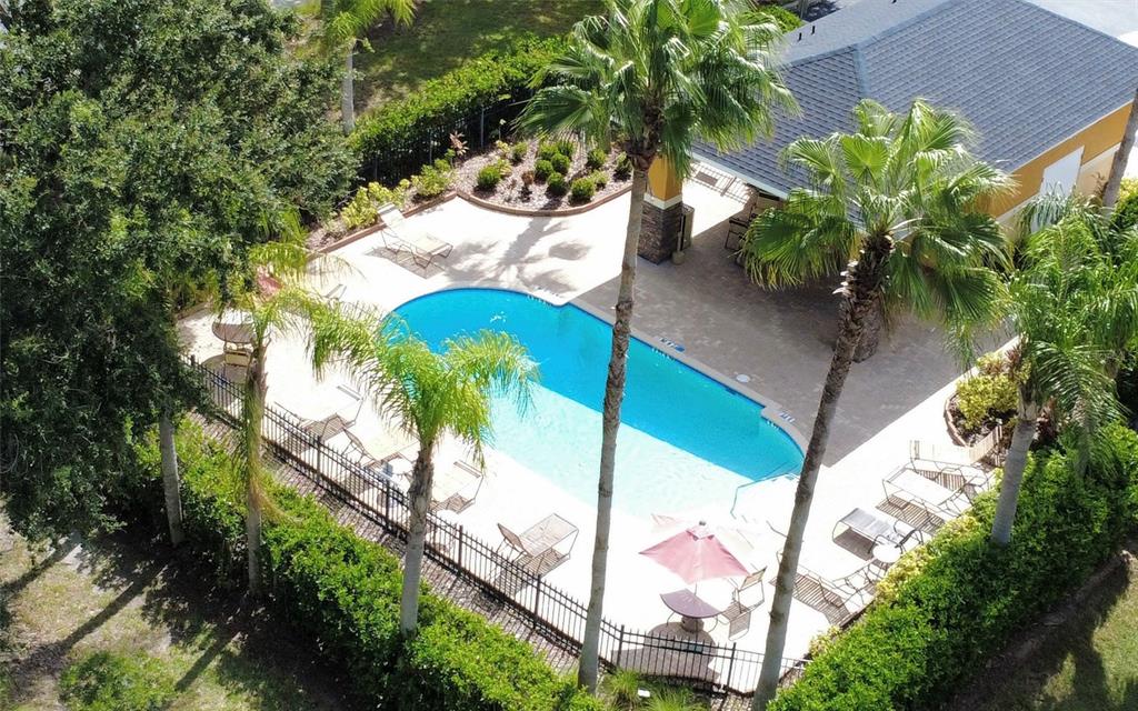 An aerial view of a swimming pool surrounded by a patio, palm trees, and landscaping — 20705 MOUNTAIN WHISTLER AVENUE, VENICE, FL