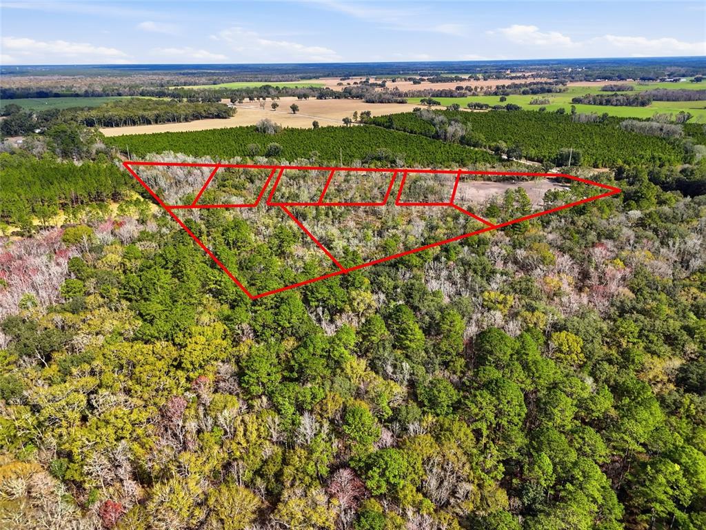 An aerial view shows a wooded plot of land outlined in red — 20994 SW COUNTY ROAD 18 Lot 1, BROOKER, FL
