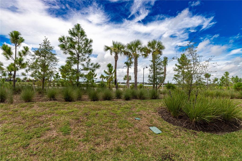 A grassy yard features a variety of palm and pine trees under a blue sky — 16572 KINGWOOD LANE UNIT 3611, PUNTA GORDA, FL