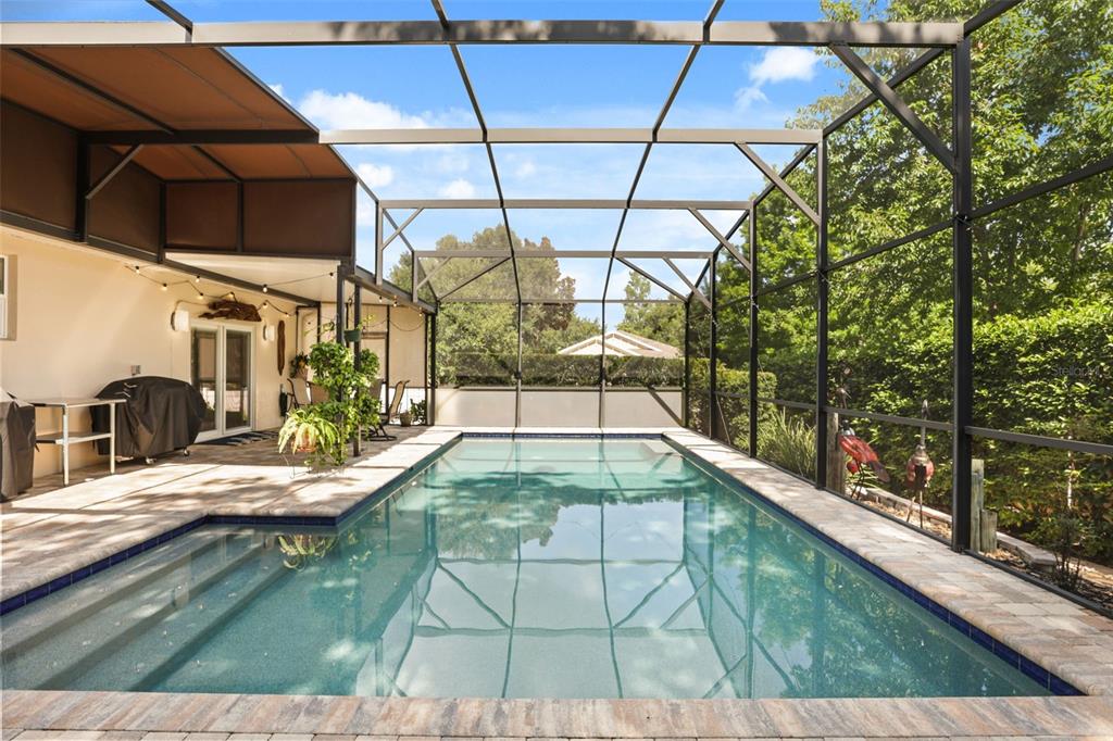 A rectangular swimming pool is enclosed by a screened-in lanai with a paved patio area — 30119 TOKARA TERRACE, MOUNT DORA, FL