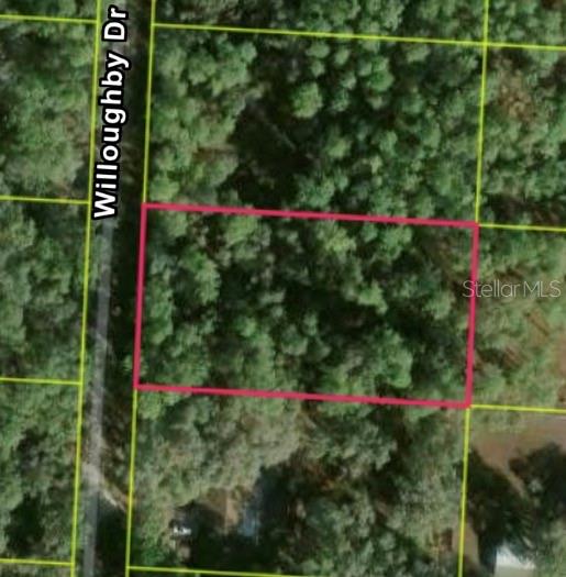 This is an aerial map showing a rectangular plot of land outlined in red — 7352 WILLOUGHBY DRIVE, WEBSTER, FL
