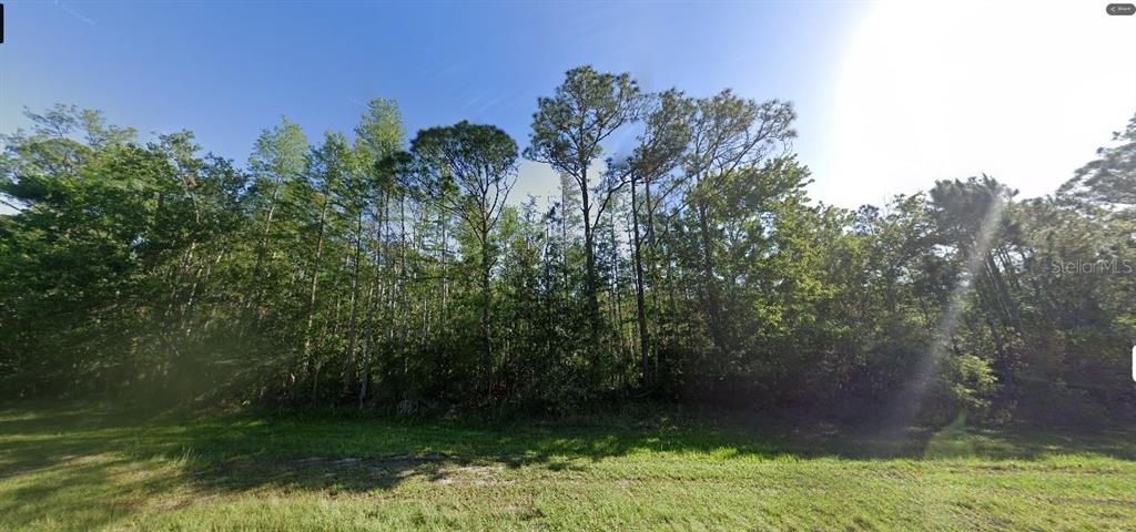 DILL ROAD, ORLANDO, FL — photo 2 of 2