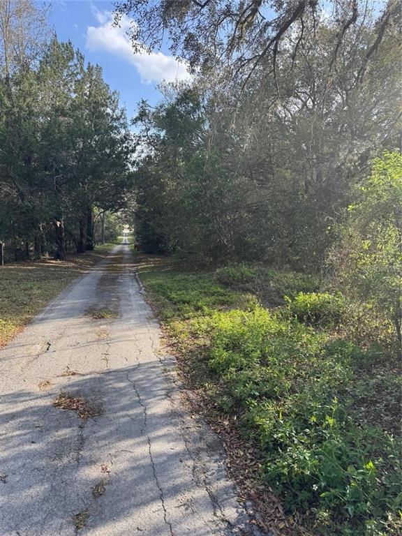 STATE ROAD 44, EUSTIS, FL — photo 2 of 6