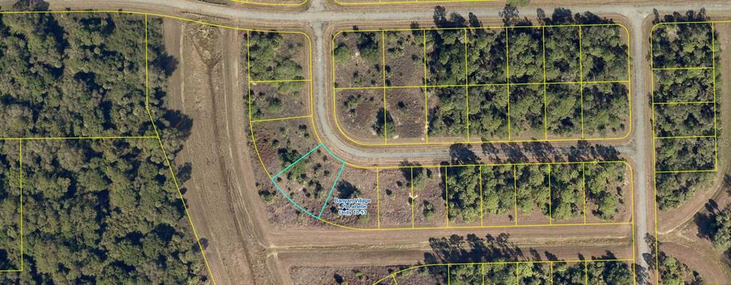 This is an aerial map showing a vacant residential lot highlighted in a subdivision — 206 JOHN YOUNG TERRACE, LABELLE, FL