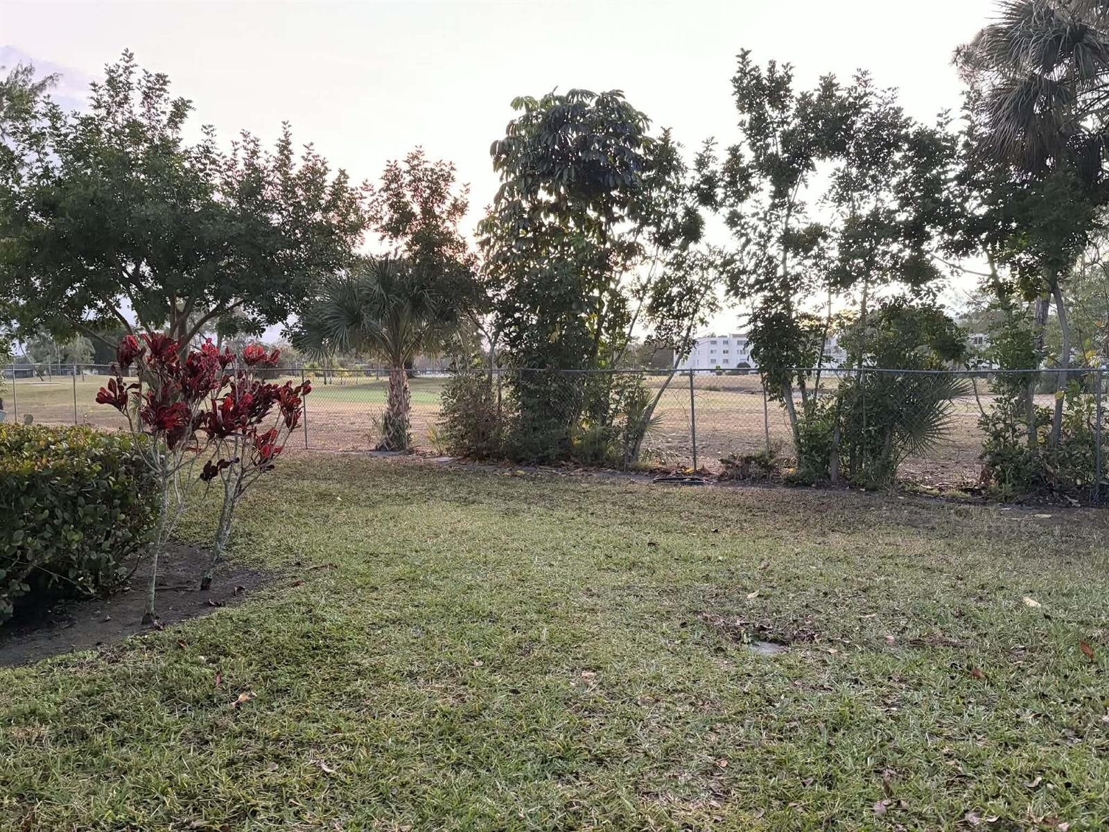 A grassy backyard features a chain-link fence, various trees, and a red-leafed shrub — 3209 Perimeter Drive # 2713, FL 33467, FL