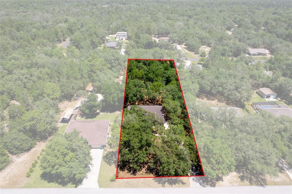 An aerial view shows a wooded residential lot outlined in red with a single-story house — 1761 E CLEVELAND STREET, HERNANDO, FL