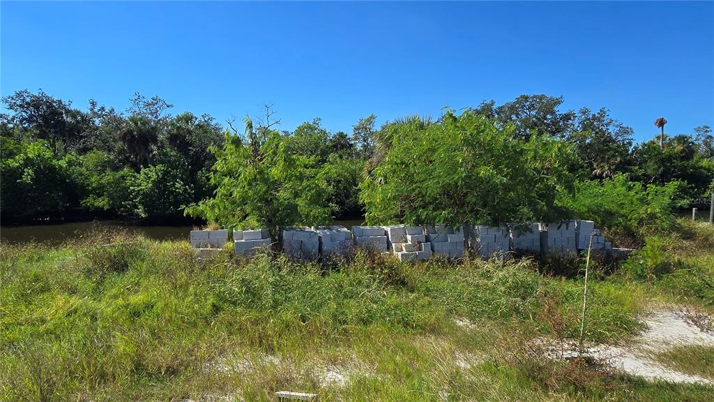 9919 BAY DRIVE, GIBSONTON, FL — photo 4 of 5