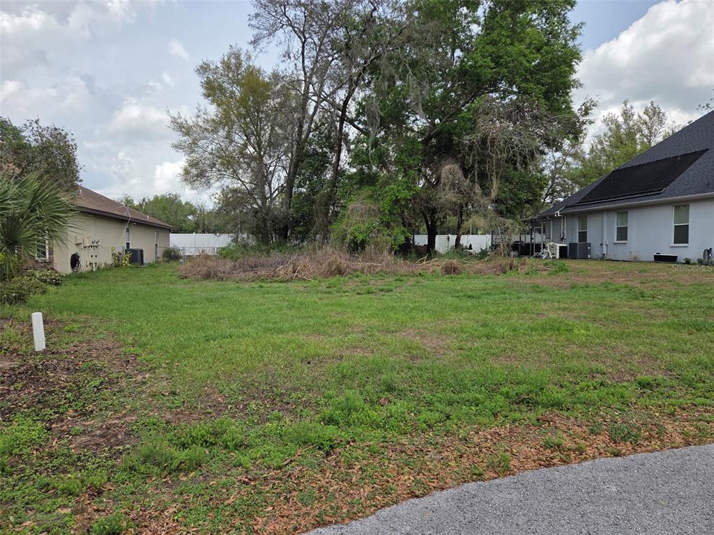 A vacant grassy lot sits between two residential houses with mature trees in the background — KELLY LYNN COURT, ZEPHYRHILLS, FL