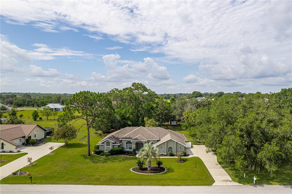 An aerial view of a single-story house with a palm tree in the front yard — 1154 E TRIPLE CROWN LOOP, HERNANDO, FL