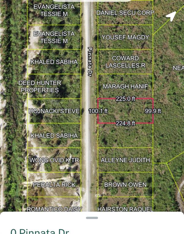 This map shows a rectangular plot of land highlighted on Pinnata Drive — 0 PINNATA DRIVE, LAKE WALES, FL