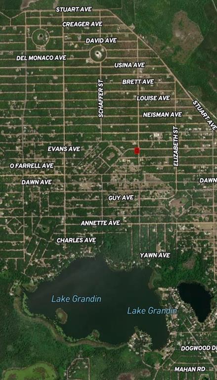 This is an aerial map showing a residential grid layout near Lake Grandin — LOT 17 EVANS AVENUE, INTERLACHEN, FL