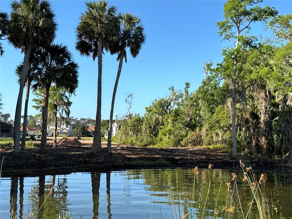 A view of a pond in the foreground with palm trees and cleared land behind — Lot K4 BLUE HERON CIRCLE, DEER ISLAND, FL