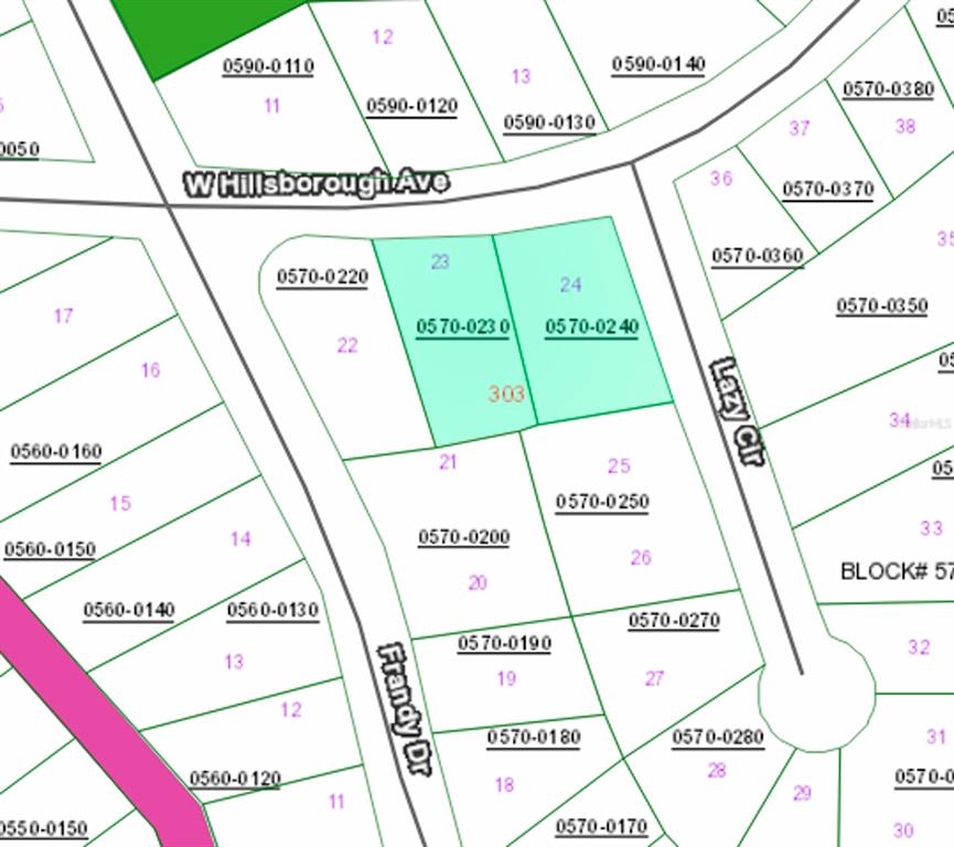 This image is a plat map showing property lot lines, parcel numbers, and street names — 303 W HILLSBOROUGH AVENUE, FLORAHOME, FL