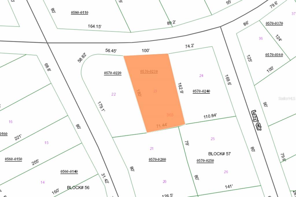 This is a property tax map showing parcel 0570-0230 highlighted in orange — 303 W HILLSBOROUGH AVENUE, FLORAHOME, FL