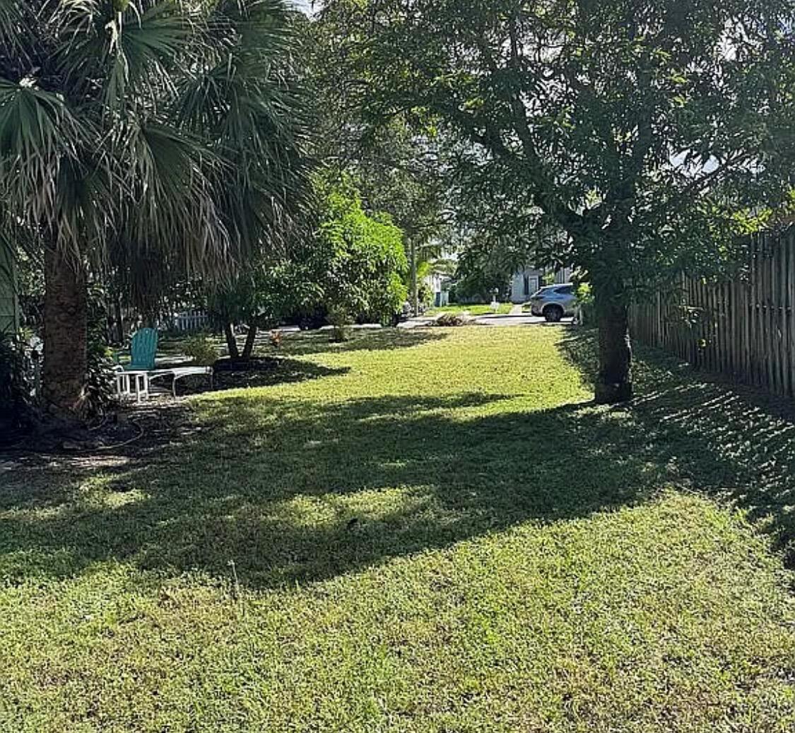 A grassy backyard features a large palm tree, a mature shade tree, and a wooden fence — 211 N E Street, FL 33460, FL