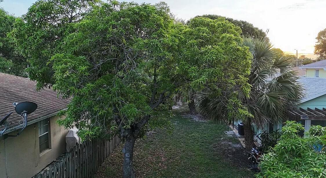An elevated view shows a backyard with a large tree, a palm tree, and fencing — 211 N E Street, FL 33460, FL