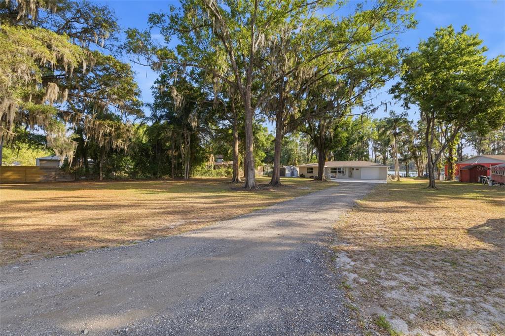 A gravel driveway leads to a single-story house surrounded by large trees on a lot — 14702 BLUESTONE LANE, ODESSA, FL