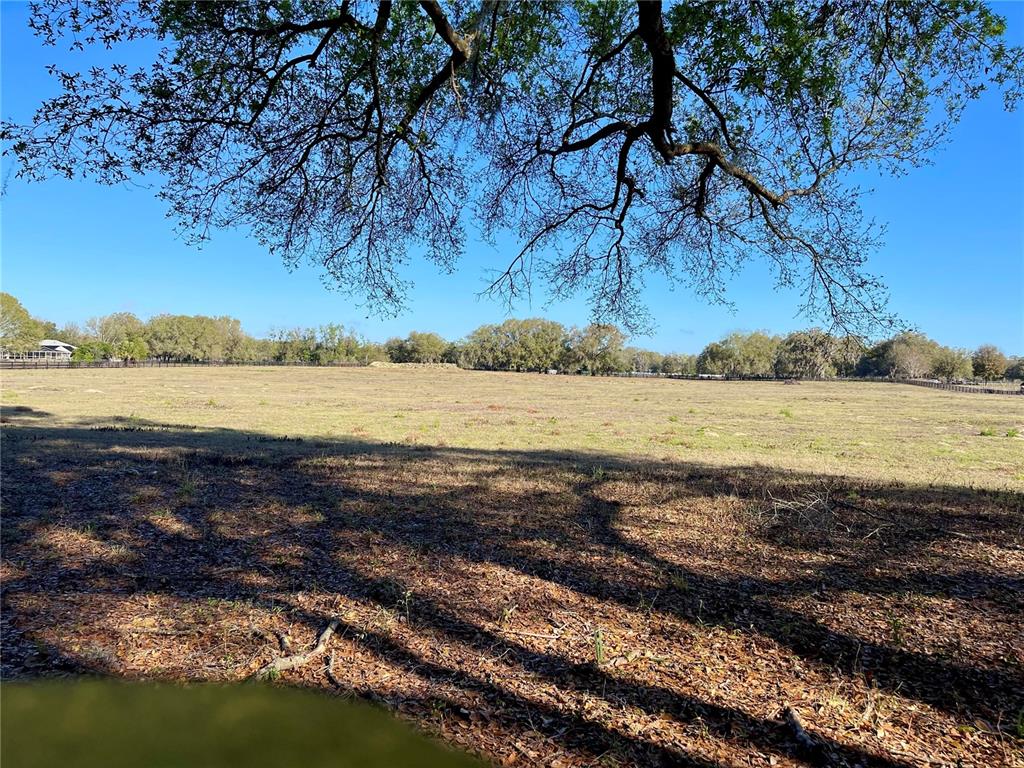 A large, open grassy field is framed by the branches of a large oak tree — 15153 SE 73RD AVENUE, SUMMERFIELD, FL