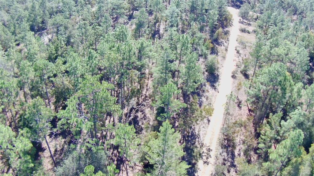 An aerial view shows a dirt road winding through a dense pine forest — 0 MONROE AVE LOT 12-17, HAWTHORNE, FL