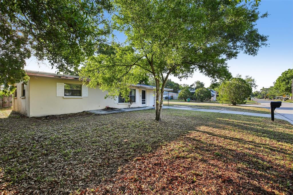A single-story house with a light-colored exterior sits behind a large tree in a yard — 1415 WOOD AVENUE, CLEARWATER, FL