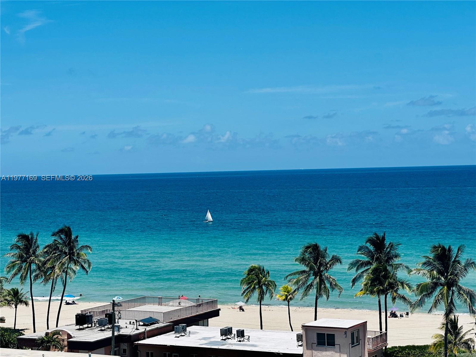 An elevated view of a sandy beach with palm trees and a sailboat offshore — 1501 S Ocean Dr # 1006, Hollywood FL 33019, HOLLYWOOD, FL