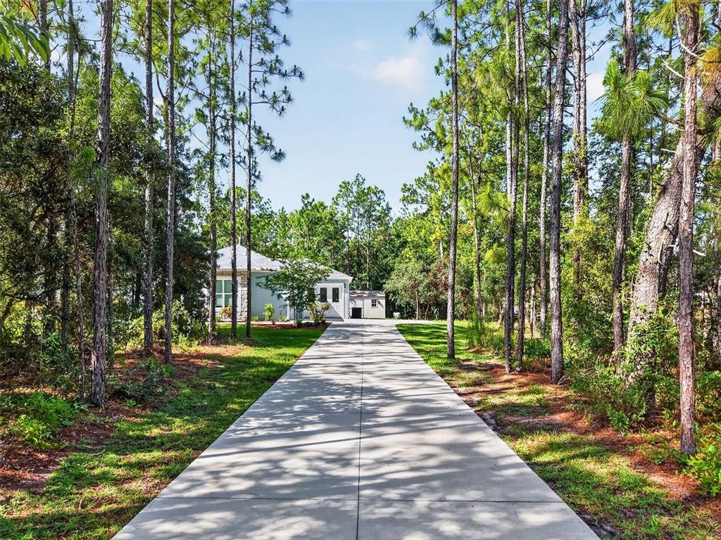 A long concrete driveway leads through a wooded area toward a single-story house — 2075 COUNTY ROAD 243F, WILDWOOD, FL