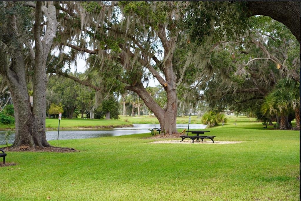 A grassy park area features a picnic table under large trees beside a small pond — 1754 BOAT LAUNCH ROAD, KISSIMMEE, FL