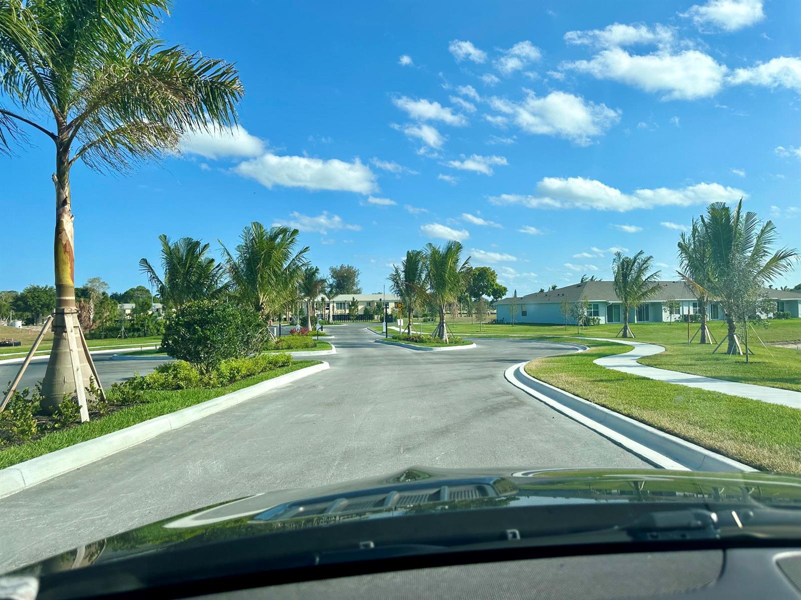 A paved road winds through a sunny residential neighborhood lined with young palm trees — 13657 Night Sky Place, Delray Beach FL 33484, DELRAY BEACH, FL