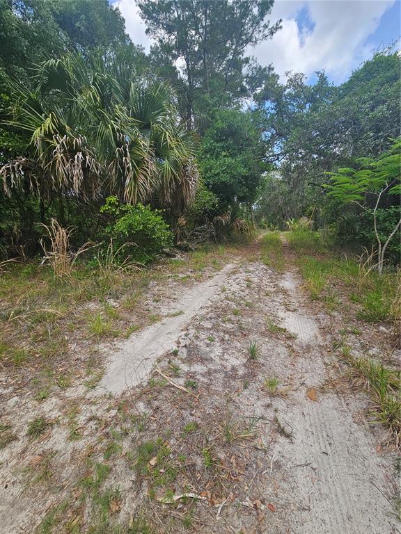 A sandy dirt path leads through a wooded area with palm trees and dense vegetation — 000 CULVER WAY, GENEVA, FL