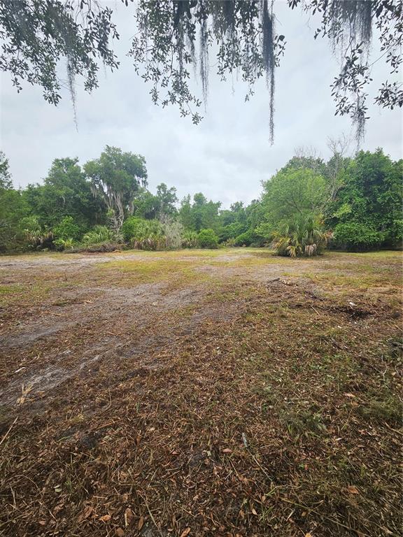 A cleared, grassy lot is surrounded by dense trees and hanging Spanish moss — 000 CULVER WAY, GENEVA, FL