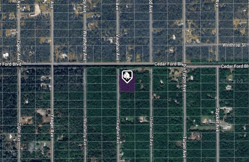 This is an aerial map showing a highlighted vacant lot located along Vaughan Avenue — 10410 VAUGHAN AVENUE, HASTINGS, FL