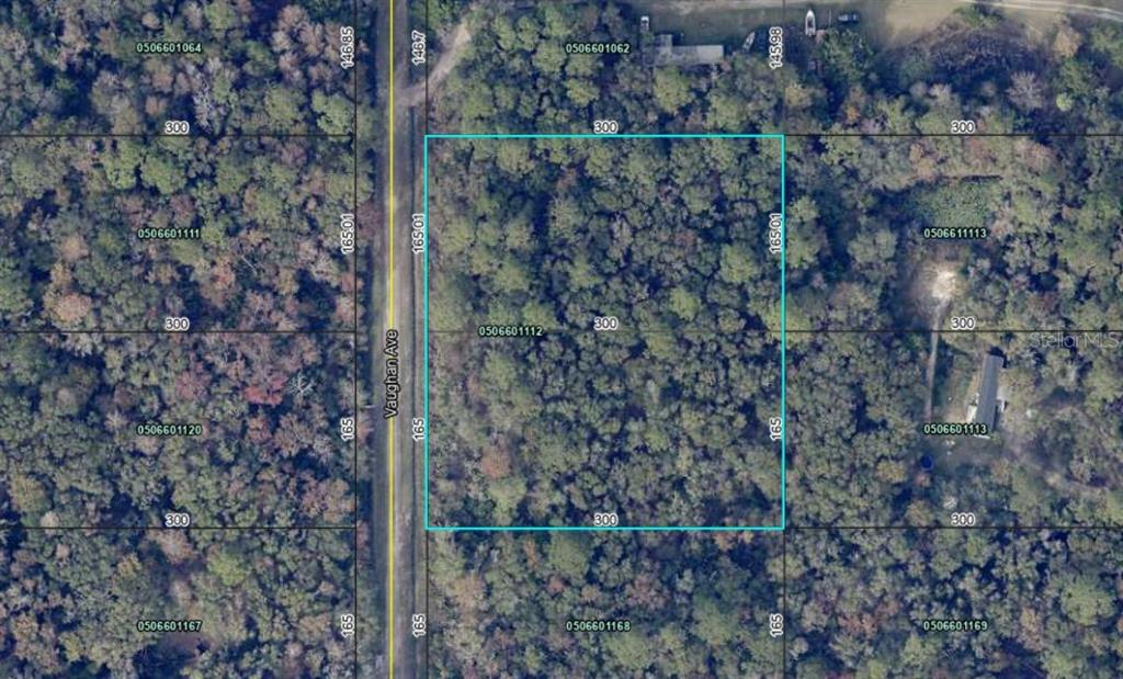 This is an aerial map view showing a rectangular plot of land outlined in blue — 10410 VAUGHAN AVENUE, HASTINGS, FL