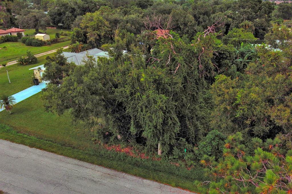 An aerial view shows a residential lot with dense trees and a house in the background — GILLESPIE STREET, ENGLEWOOD, FL