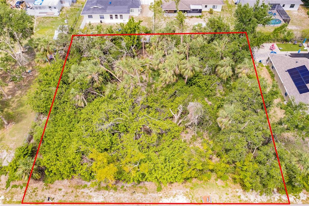 An aerial view shows a rectangular, heavily wooded vacant lot outlined in red — 2113 WONDERWIN STREET, PORT CHARLOTTE, FL