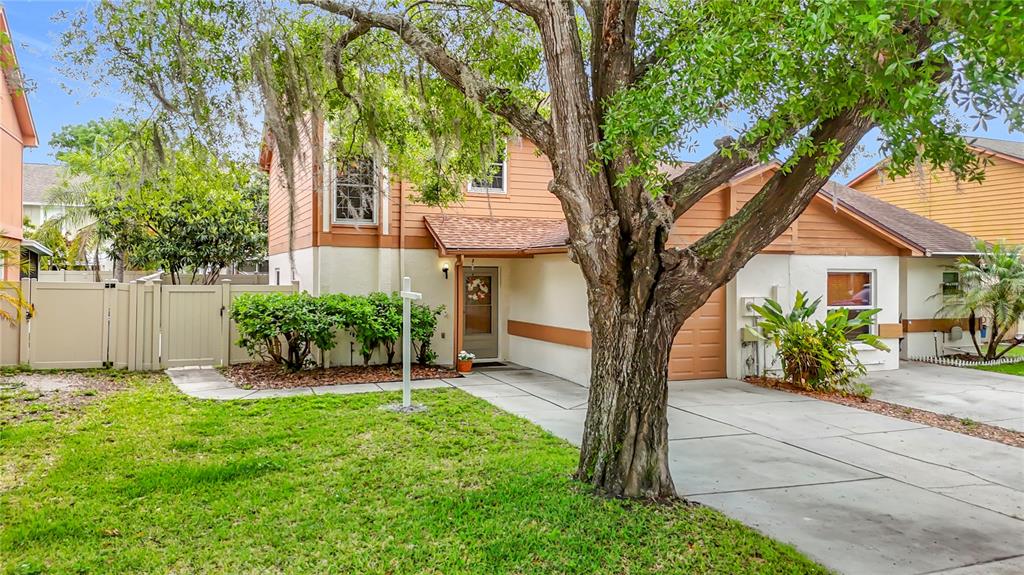 A two-story house with tan siding, a concrete driveway, and a large tree in front — 16851 LE CLARE SHORES DRIVE, TAMPA, FL