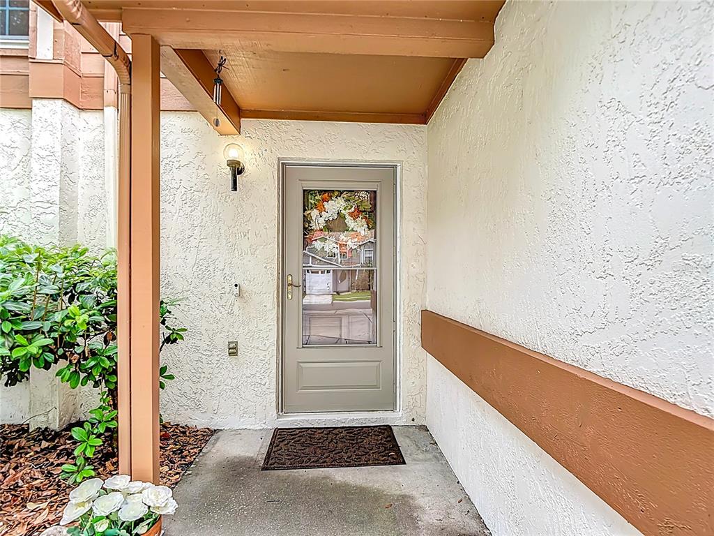 A covered entryway features a light-colored front door with a glass insert and a wreath — 16851 LE CLARE SHORES DRIVE, TAMPA, FL